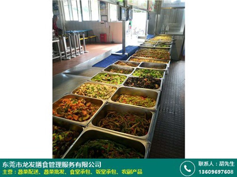 风起云涌中的餐饮创新——风伟语餐饮引领潮流